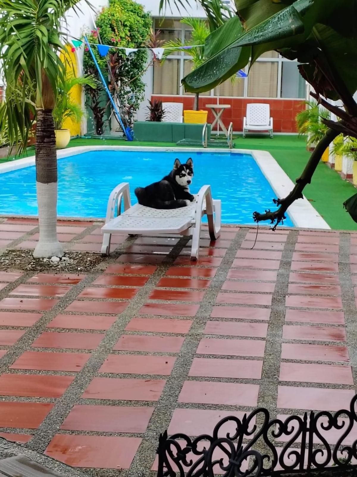 The Chill In Mansion Hostel Santa Marta Dış mekan fotoğraf